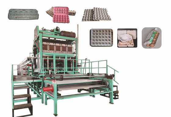 130kw Professional Engineer Designed Egg Tray Machine for Industrial Equipments and Parts