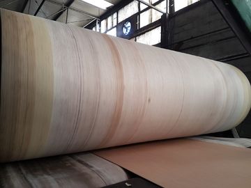 สายพาน Aramid Edge Corrugator ความทนทานสูงสำหรับ BHS, FOSBER, MARQUIP Corrugated Line